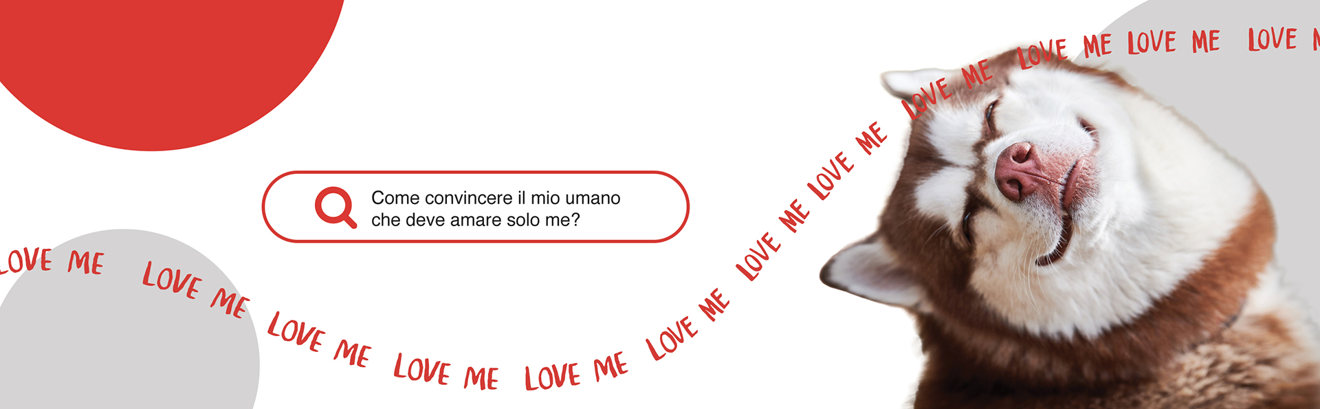 Petmark, alimenti e prodotti per animali